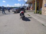 Kayo A150-5