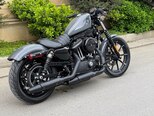 Harley-Davidson XL883N Sportster Iron 883-11