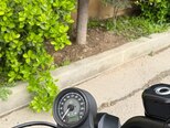 Harley-Davidson XL883N Sportster Iron 883-8