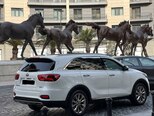Kia Sorento-5