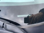 Chevrolet Malibu-11