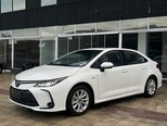 Toyota Corolla-8