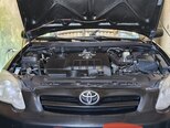 Toyota Corolla-7
