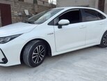 Toyota Corolla-8