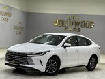 BYD Destroyer 05-5