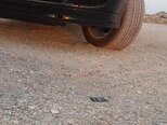 Mercedes C 200-9