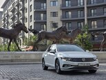 Volkswagen Passat-15