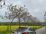 Hyundai Elantra-18