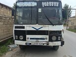 PAZ 32054-1