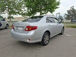 Toyota Corolla-6