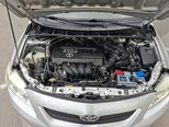 Toyota Corolla-14