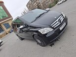 Mercedes Viano-2