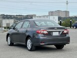 Toyota Corolla-6