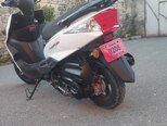GST Angel x3-4