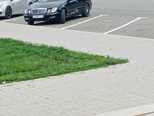 Mercedes E 220-11