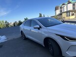 BYD Destroyer 05-4