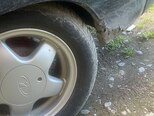LADA (VAZ) 2112-6