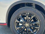 Changan Oshan X5 Plus-4