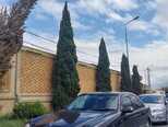 Mercedes E 220-2