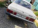 GAZ 31029 "Volga"-3