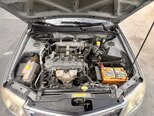 Nissan Sunny-7