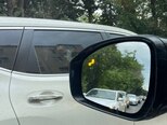 Land Rover Discovery-5