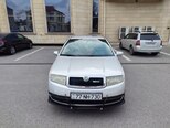 Skoda Fabia-1
