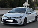 Toyota Corolla-7