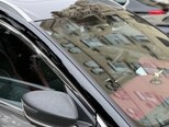 Geely Coolray-5
