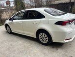 Toyota Corolla-6