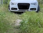 Audi S5-2