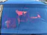 BMW 320-19