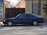 Mercedes 250 D-12