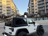 Jeep Wrangler-12