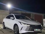 BYD Destroyer 05-10