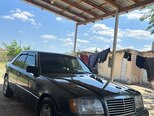 Mercedes 250 D-12