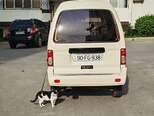 Daewoo Damas-4