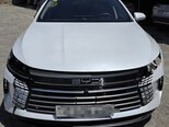 BYD Destroyer 05-5