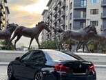 BMW 528-6