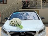 Hyundai Sonata-1