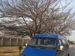 Ford Transit-7