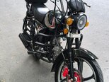 Freedom MX 49-1