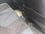 Volkswagen Tiguan-5