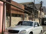 GAZ 31105 "Volga"-13