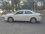 Toyota Corolla-6
