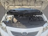 Toyota Corolla-11
