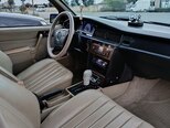 Mercedes 190-10
