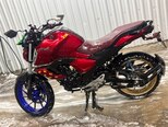 Yamaha FZ-S FI Deluxe-8
