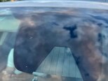 Ford Fusion (North America)-15