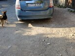 Toyota Prius-2